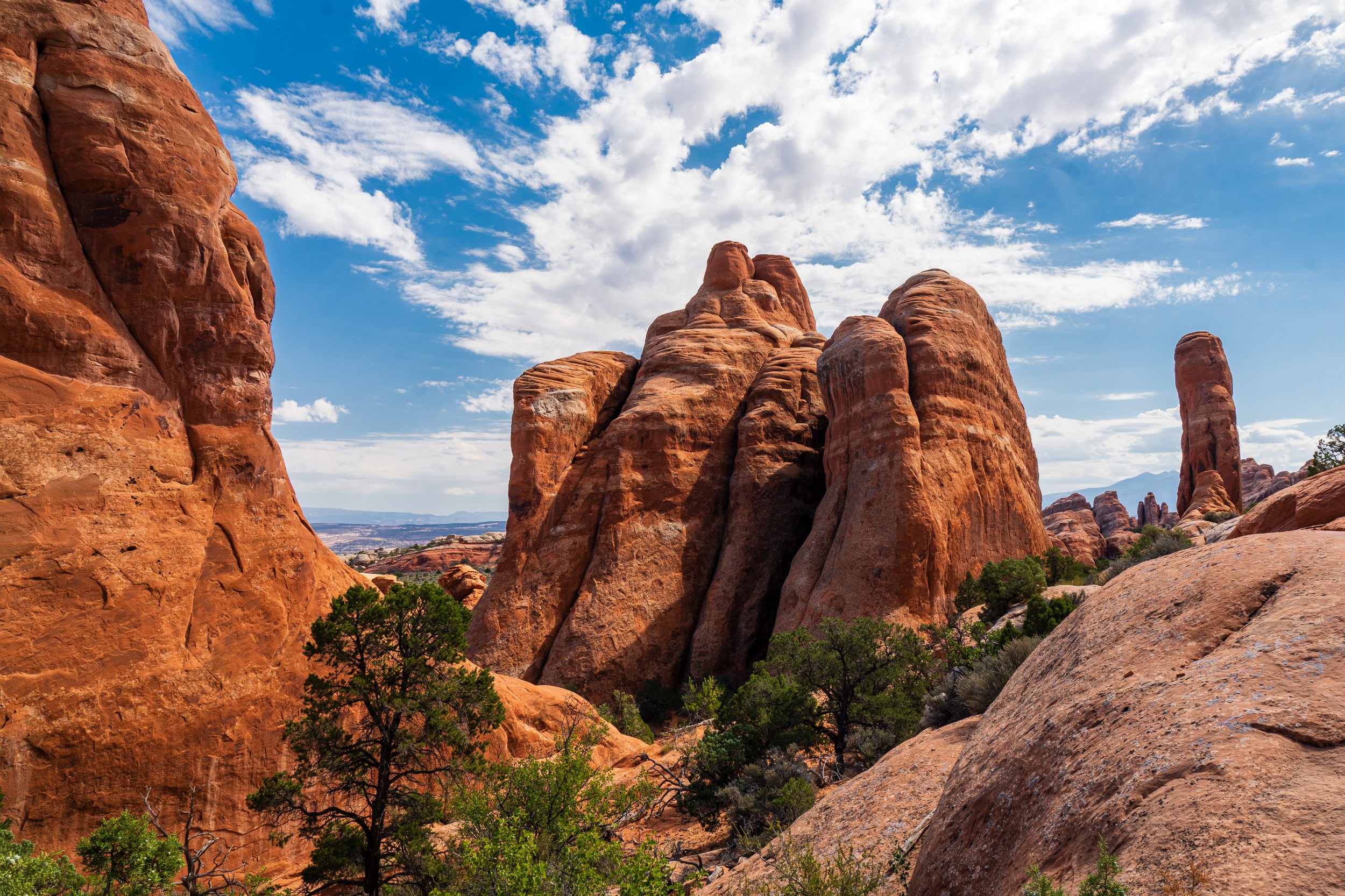 USA 2024 5 Sterne 120